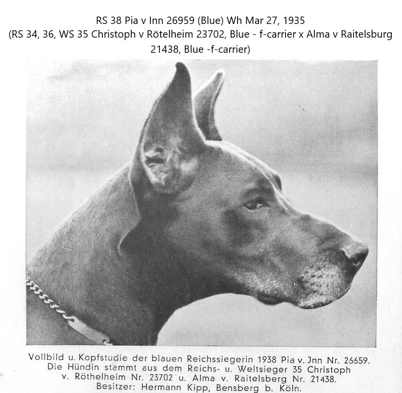 Pia v Inn